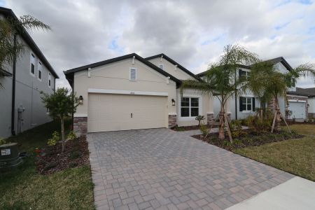 New construction Single-Family house 4763 Beachrose Way, Lakeland, FL 33811 Picasso- photo 64 64