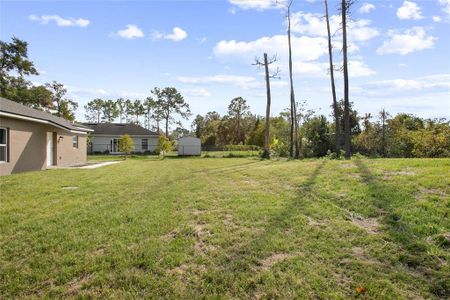 New construction Single-Family house 2126 7Th Avenue, Deland, FL 32724 - photo 25 25