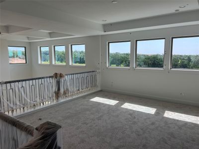 New construction Single-Family house 1209 Stormy Dr, Georgetown, TX 78628 plan Topaz - image 19