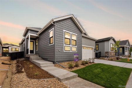 New construction Single-Family house 11116 Stonepath St, Littleton, CO 80125 plan 4084 Amber Light Elevation B - Lake Cottage - image