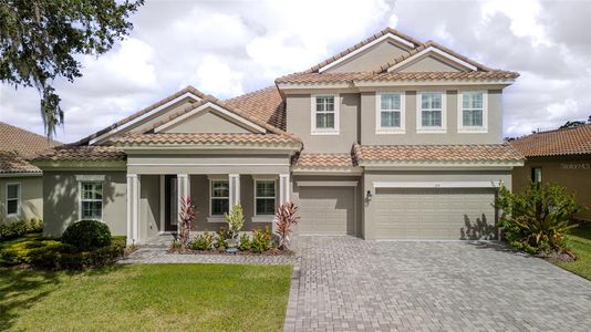 New construction Single-Family house 155 Sabal Breeze Ct, Brandon, FL 33511 - image