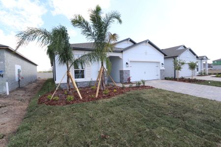 New construction Single-Family house 3150 Adams Cross Dr, Zephyrhills, FL 33540 Miranda- photo 86 86