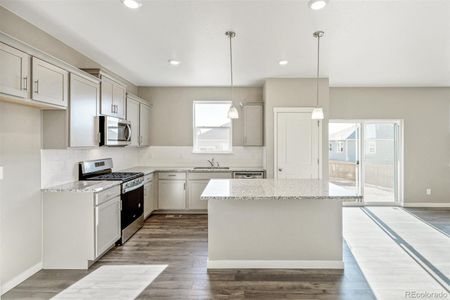 New construction Single-Family house 18029 Dandy Brush Ln, Parker, CO 80134 ELDER II- photo 10 10