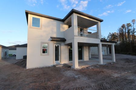 New construction Single-Family house 20131 Oriana Loop, Land O' Lakes, FL 34638 Sonoma II- photo 119 119