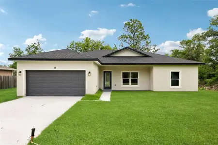 New construction Single-Family house 13 Malauka Radial Dr, Ocklawaha, FL 32179 - image