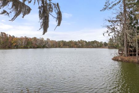 New construction Single-Family house 1107 Bellwether Ln, Summerville, SC 29485 Camellia- photo 47 47