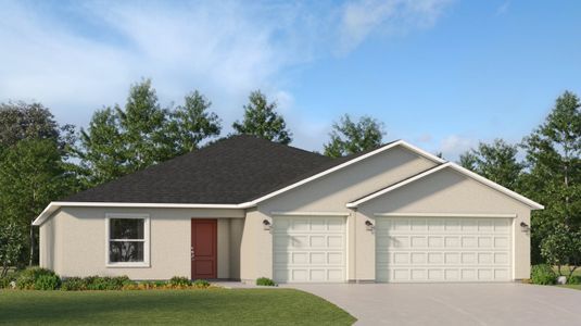 New construction Single-Family house 10441 Alder Green Dr, Riverview, FL 33578 null- photo 0 0