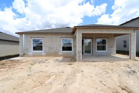 New construction Single-Family house 12193 Hilltop Farms Dr, Dade City, FL 33525 Sentinel- photo 19 19