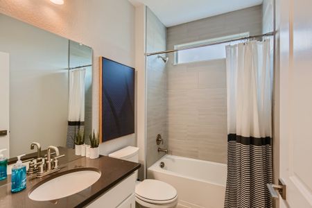 New construction Single-Family house 13788 Daffodil Wy, Parker, CO 80134 plan Denali - image 12