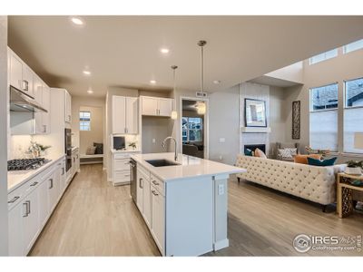 Silver Leaf by Boulder Creek Brands LLC in Denver - photo 21 21