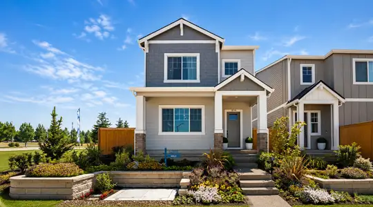 New construction Single-Family house 1166 Little Hills Wy, Lavon, TX 75166 plan Holly - image