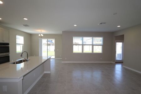 New construction Single-Family house 9489 Seagrass Port Pass, Wesley Chapel, FL 33545 Alenza- photo 80 80