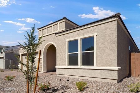 New construction Single-Family house 4068 E Brittlebush Ln, San Tan Valley, AZ 85140 plan Albany - image