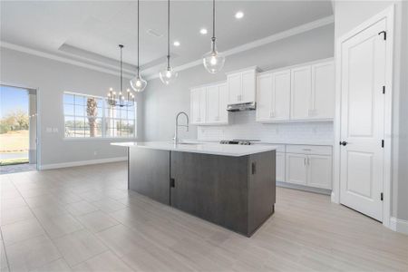 New construction Single-Family house 694 Mahogany Run, Palm Coast, FL 32137 null- photo 30 30