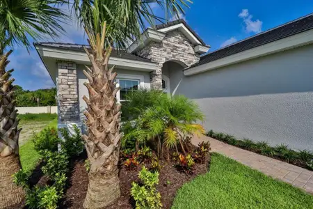 New construction Single-Family house 60 Del Palma Dr, Palm Coast, FL 32137 - image
