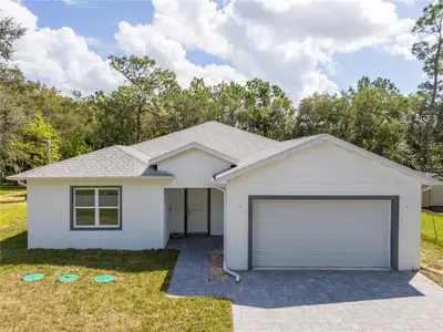 New construction Single-Family house 9429 Allestrasse Ln, Orlando, FL 32824 - image