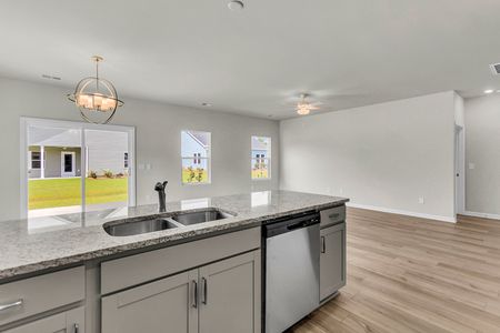 New construction Single-Family house 1001 Par Three Ct, Manning, SC 29102 plan Durham - image 15