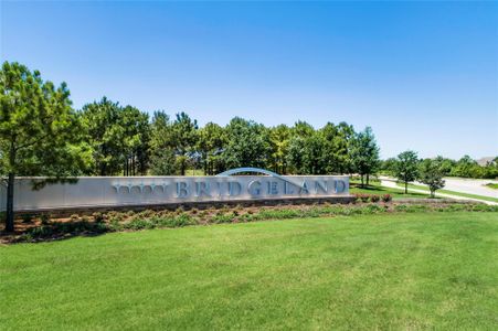 New construction Single-Family house 22618 Cape Leadwort Ct, Cypress, TX 77433 plan Chatham - image