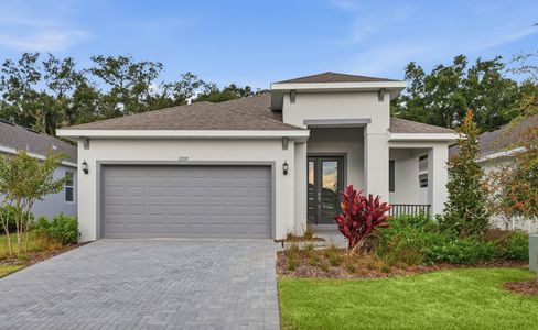New construction Single-Family house 2209 Sirena Ln, Mount Dora, FL 32757 plan Daytona - image