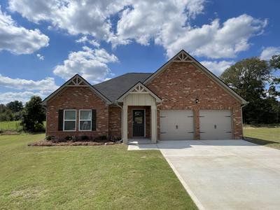 New construction Single-Family house 101 Galway, Hampton, GA 30228 - photo 0