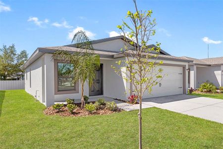 New construction Single-Family house 29596 Fedora Circle, Brooksville, FL 34602 - photo 0