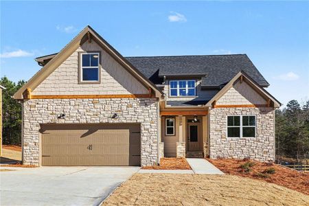 New construction Single-Family house 114 Morgan Ln, Dawsonville, GA 30534 - image