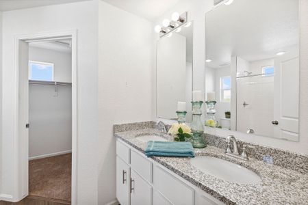 New construction Single-Family house 5699 Dakan Lp, Colorado Springs, CO 80927 plan Friesian - image 12