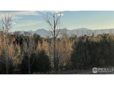 New construction Single-Family house 4767 Summerlin Pl, Longmont, CO 80503 - photo 3 3