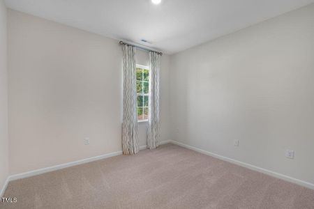 New construction Single-Family house 273 Hawksmoore Ln, Lillington, NC 27546 Hayden - photo 39 39