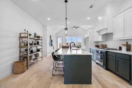 New construction Single-Family house 1715 Inspiration Blvd, St. Paul, TX 75098 plan The Warren - image 12