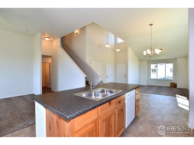 New construction Single-Family house 2378 Blissful Ln, Windsor, CO 80550 Maryland- photo 23 23