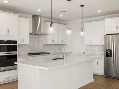 New construction Single-Family house 333 W Rock Needle Trl, Apache Junction, AZ 85120 plan Lark - image