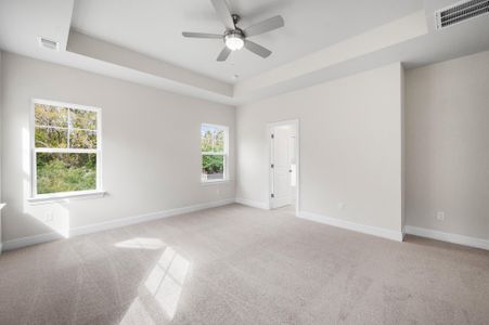 New construction Single-Family house 5063 Anavesta Park Ct, Hollywood, SC 29449 null- photo 16 16