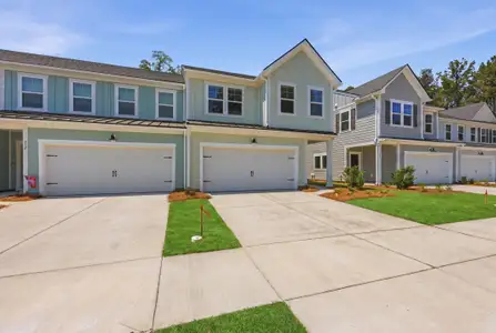 New construction Townhouse house 214 Twinleaf Ct, Charleston, SC 29414 - image