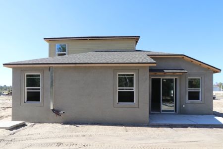 New construction Single-Family house 138 Northbank Ln, Spring Hill, FL 34609 plan Picasso Bonus - image