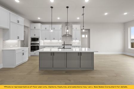 New construction Single-Family house 803 Albatross Ct, Forney, TX 75126 plan Vail - image 9