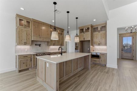 New construction Single-Family house 1038 Deer Island Ct, Azle, TX 76020 - image 7