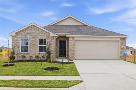 New construction Single-Family house 226 Bellie Ln, Kyle, TX 78640 plan Kimbell - image