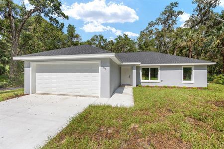 New construction Single-Family house 202 Fisher Lp, Ocklawaha, FL 32179 - image