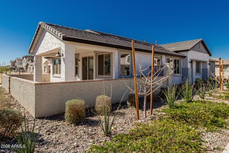 New construction Single-Family house 4505 S Mole, Mesa, AZ 85212 Celadon- photo 1 1