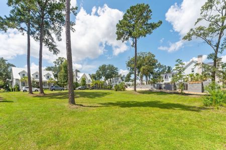 New construction Single-Family house 465 Lesesne Street, Charleston, SC 29492 - photo 29 29