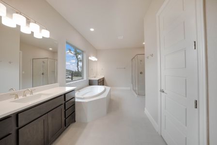 New construction Single-Family house 31053 Johnson Wy, San Antonio, TX 78260 plan The Davinci - image 11