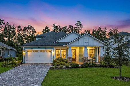 New construction Single-Family house 156 Loosestrife Wy, St. Augustine, FL 32095 - image