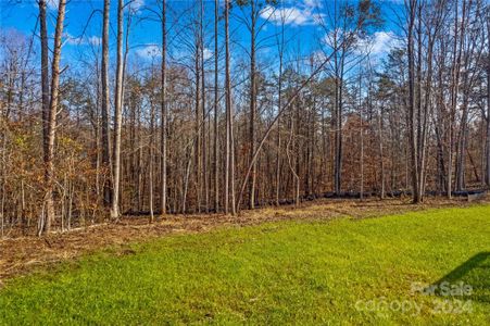 New construction Single-Family house 746 Whites Farm Rd, Statesville, NC 28625 null- photo 39 39