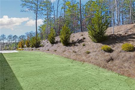 New construction Single-Family house 159 Park Lane Ln, Fairburn, GA 30213 null- photo 10 10