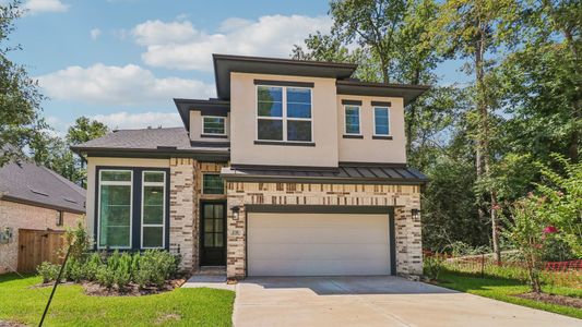 New construction Single-Family house 231 Congo Bay Cir, Willis, TX 77318 plan Lorne - image