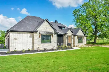 New construction Single-Family house 1000 Henry Way Rd, Springtown, TX 76082 - image