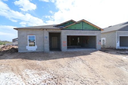 New construction Single-Family house 3150 Adams Cross Dr, Zephyrhills, FL 33540 Miranda- photo 39 39