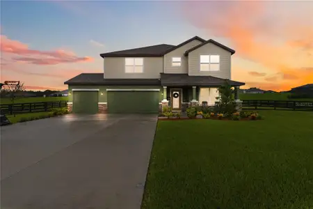 New construction Single-Family house 10007 Dolphin Gull Cir, Thonotosassa, FL 33592 - image