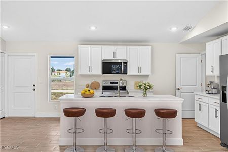 New construction Single-Family house 1912 Nw 17Th St, Cape Coral, FL 33993 plan The Seabreeze Cove - image 9